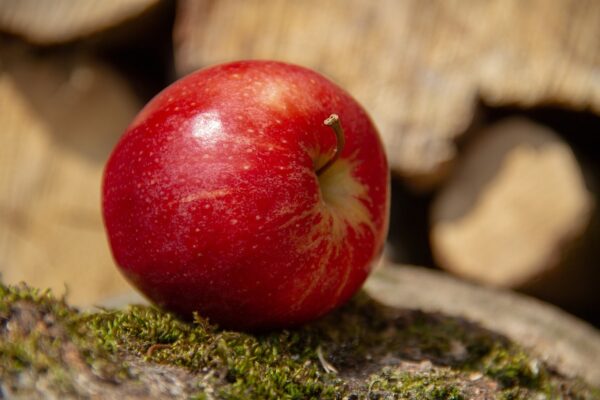 Apple Kashmir Per Kg