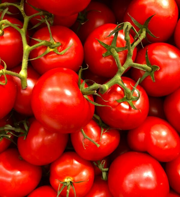 Baby Tomato 1pkt